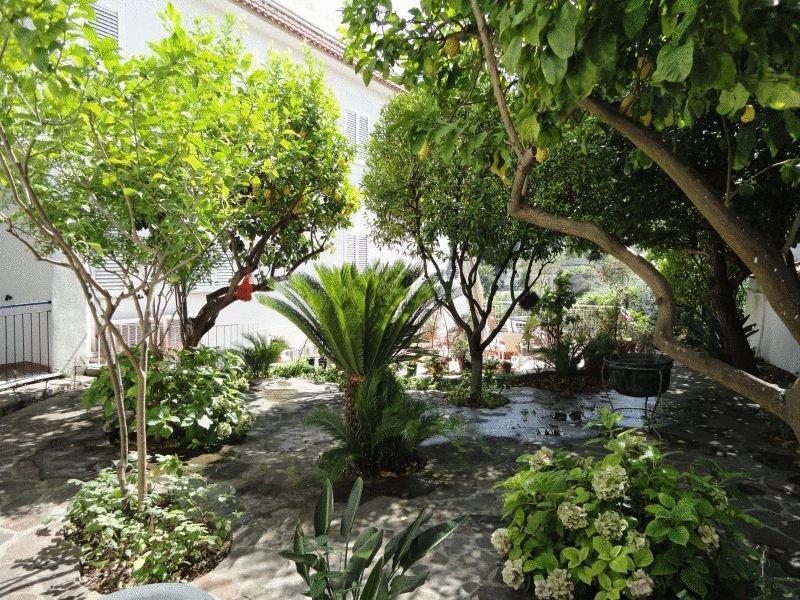 Hotel Candia Casamicciola Terme Eksteriør billede
