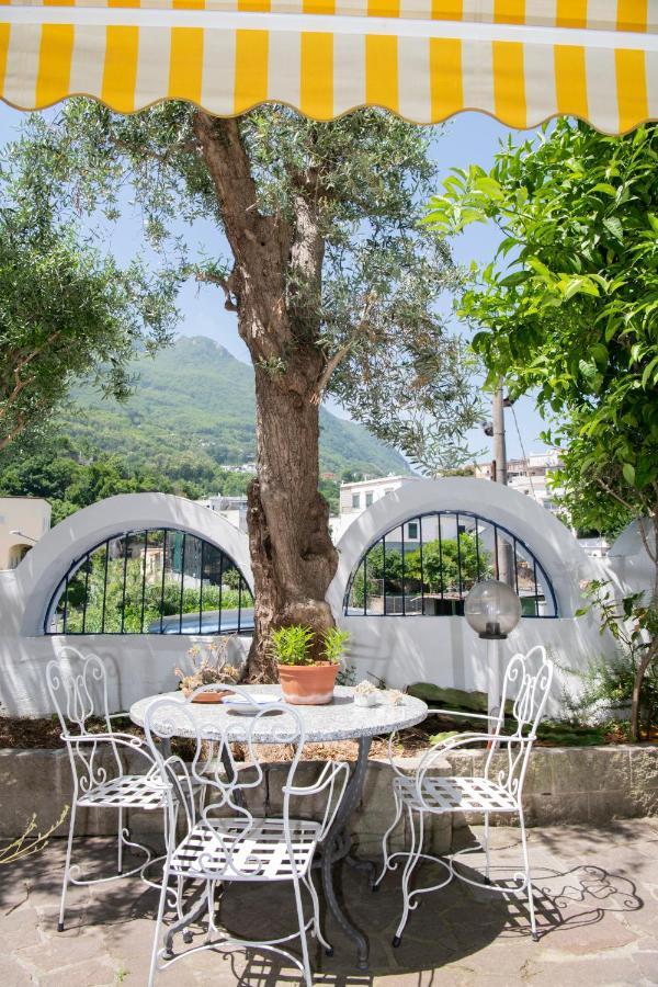 Hotel Candia Casamicciola Terme Eksteriør billede